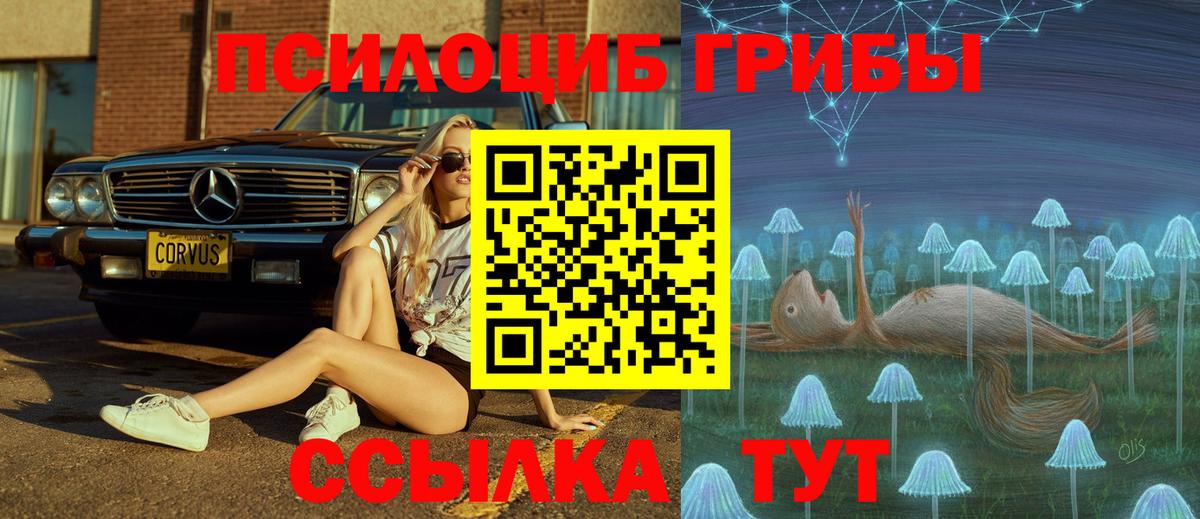 Псилоцибиновые грибы MAGIC MUSHROOMS  купить   Сальск  Псилоцибиновые грибы Psilocybine cubensis  Вход с VPN 